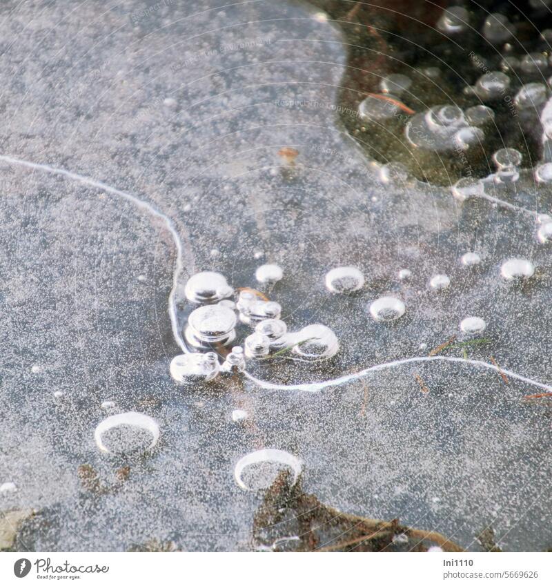 Air bubbles in the ice Nature Winter Frost ponds frozen Ice sheet thin layer of ice Bubbles blow moder Gas hollow Structures and shapes