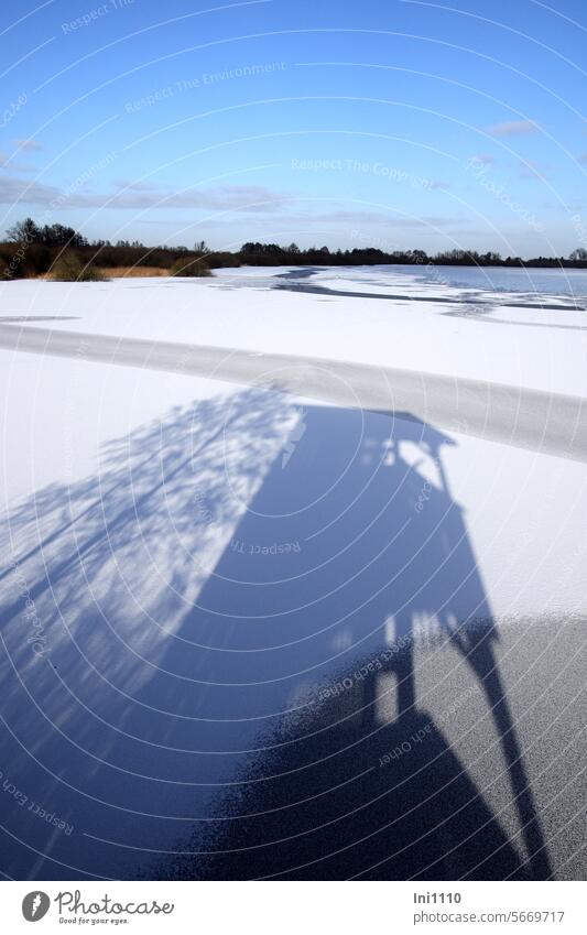 Observation tower on the ice Landscape Beautiful weather Winter Frost Dümmer See Lake frozen Shadow play shadow cast long shadow Tower Lookout tower Tree