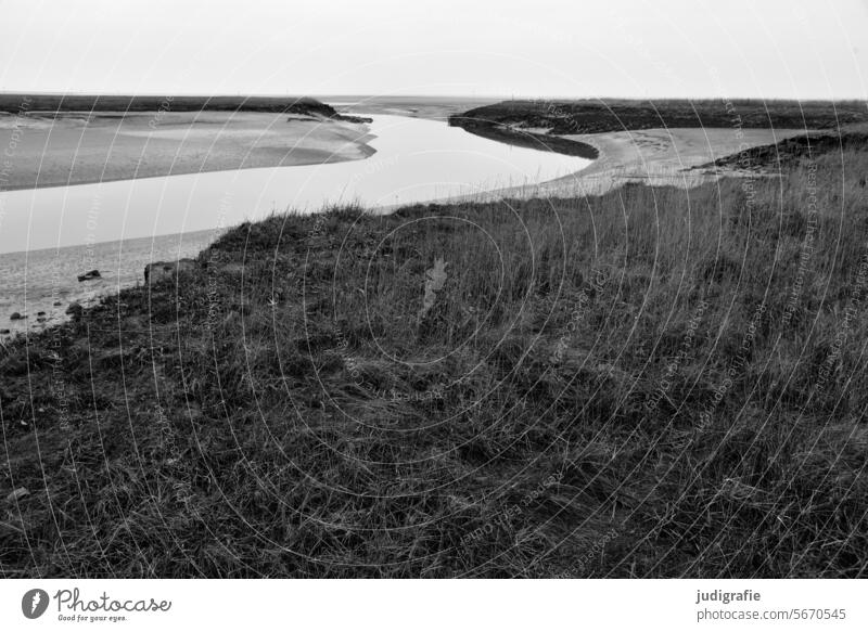 Langwarder Groden North Sea Ocean Water coast Nature Landscape marshland Mud flats Tideway Salt meadow Environment watt bird sanctuary North Sea coast