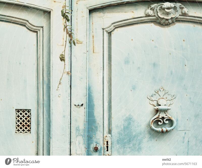 Old blue Portal Goal door Old coat of paint Washed out Abrasion Surface Shabby Ravages of time Detail Bleached Closed cordoned off worn-out Colour photo