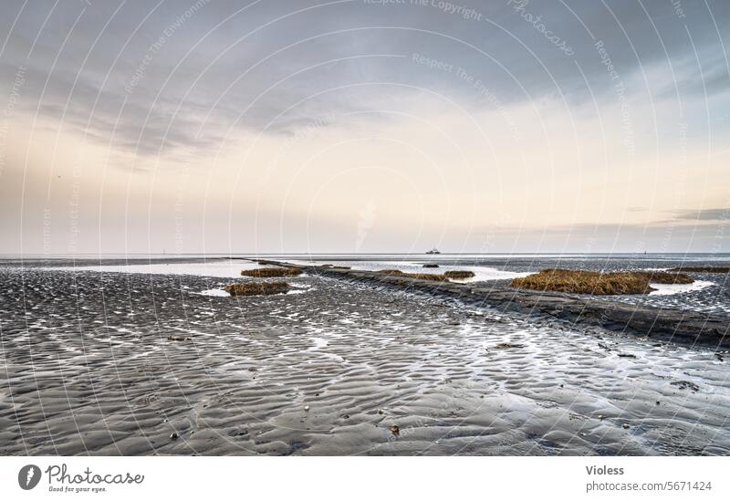 Wadden Sea Cuxhaven Mud flats Tide structure groynes Beach coast Low tide North Sea Sea Air