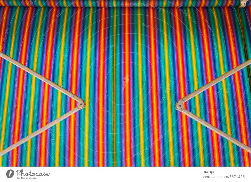 Striped awning Sun blind Close-up sun protection variegated Summer Green Pink Yellow ardor