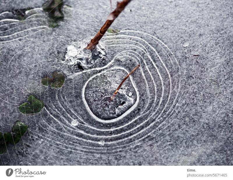 Frosty moods Nature Environment Branch Frozen Water ponds Rings Nature's whim Pattern structure Ice Stone Plant ice crystals Temporary Aggregate state Freeze