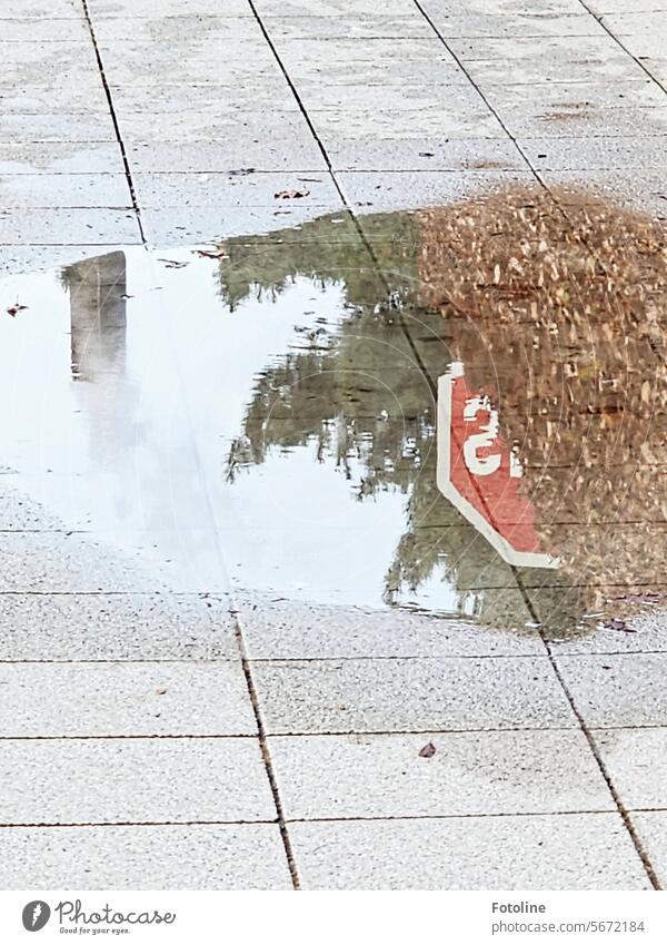 My working world is reflected in this puddle. The smoking chimney of the power station and a stop sign peeking out from between the tree and the hedge. But it doesn't say "Stop", it says "Smile". A little message to our guests.