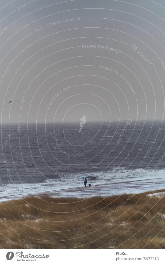 A walk on the stormy North Sea Man Going stroll To go for a walk Ocean North Sea coast Waves Gale Winter Snow Ice Cold chill Nature Landscape out Beach Water