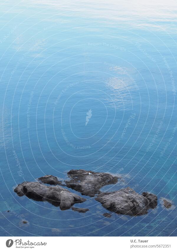 Resting points in the water Water Stone Calm Blue Ocean Rock a haven of peace silent clear water tranquillity