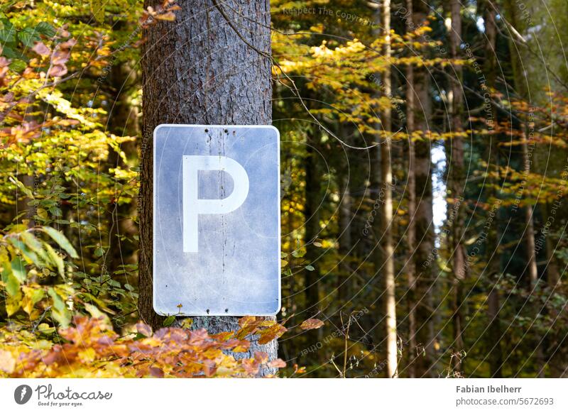 Traffic sign indicates parking lot in a forest Parking lot Road sign hiking car park Forest Germany