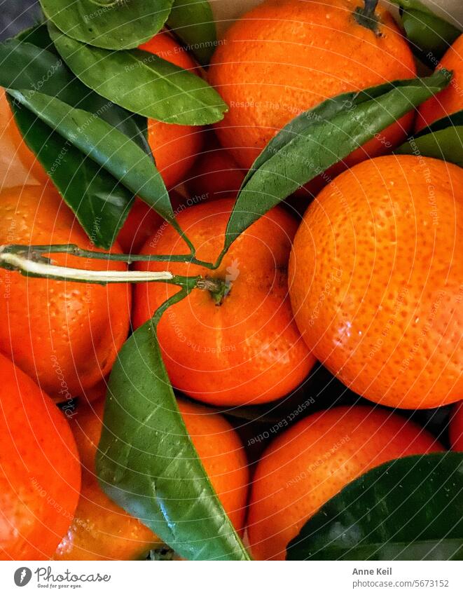 Clementines with stem and leaves fruit Food Fruit Fresh Vitamin Orange Fruity Vitamin C Food photograph Nutrition