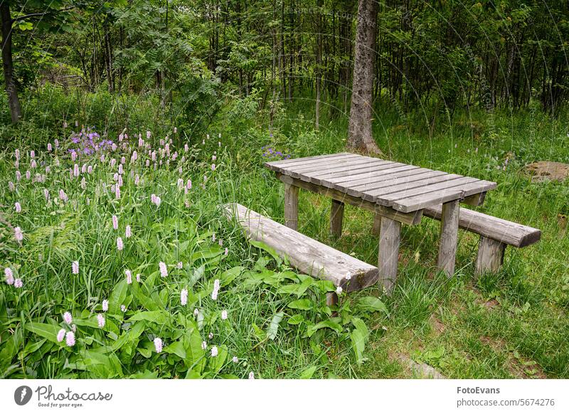 Park bench and table in green nature wood copy space flowers background summer wooden bench flower meadow rest break wooden table picnic table outdoors park