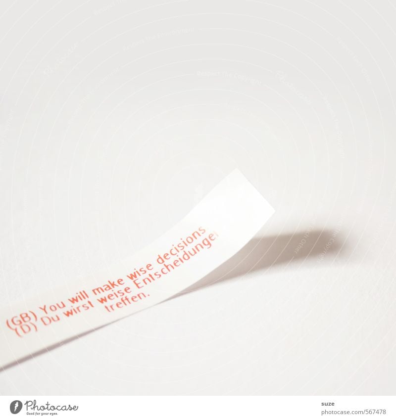 Nothing but the pure truth Happy Paper Piece of paper Characters Simple Bright Red White Anticipation Truth Wisdom Surprise Tradition Future Fortune cookie