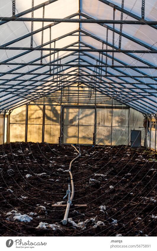 greenhouse Greenhouse Botany Glass Shadow Sunlight Tree Gardening Growth Nature naturally Organic produce Scaffolding Tunnel Agricultural crop Market garden