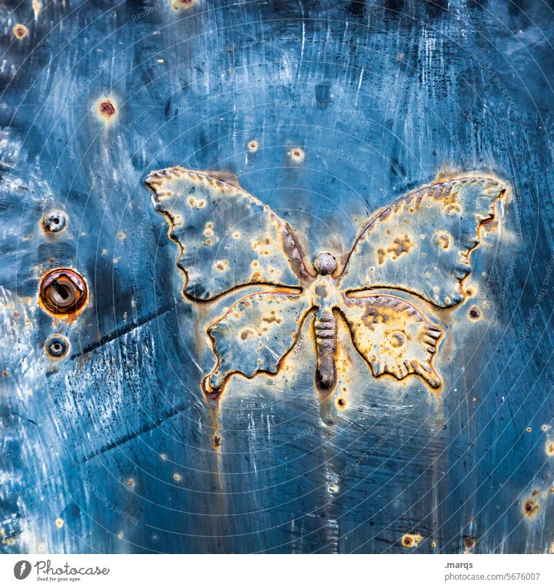 Butterfly (4700) Metal Close-up Blue Old Rust Lock Fairy tale Mysterious Mystic locked Infancy enchanting