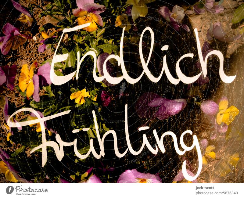 finally spring Spring at last Word German Flower Typography Double exposure Style Reaction Illusion Ground flowery Sprout reached Impatience good time Romance