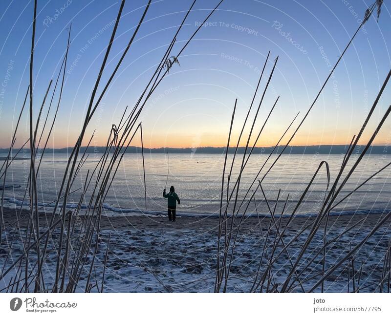 Child by the sea at sunrise Snow Winter Harden Cold cold season cold temperature freezing cold courageous Joie de vivre (Vitality) Freedom chill Exterior shot