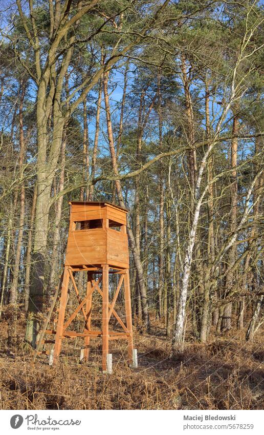 Photo of a deer hunting tower at the edge of the forest. raised hide blind nature outdoor tree wooden season view scenery stand environment Poland pulpit nobody