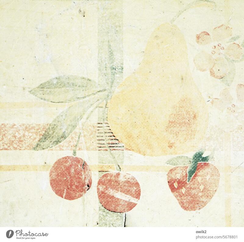 dried fruit tablecloth Old wax cloth Decoration Design Tablecloth Detail Multicoloured Structures and shapes fruits Pear cherries strawberry Blossom leaves