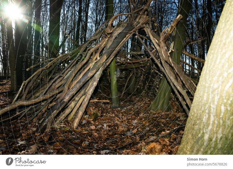 Children have built a camp in the forest Storage Hiding place Build warehouse Forest Forest camp branches Branches and twigs trees Back-light Forest atmosphere