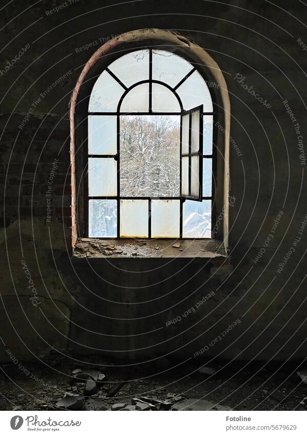 The beautiful old window in a lost place is open. It's cold, it's winter outside. There is still a little snow on the trees. lost places Window Open Transience