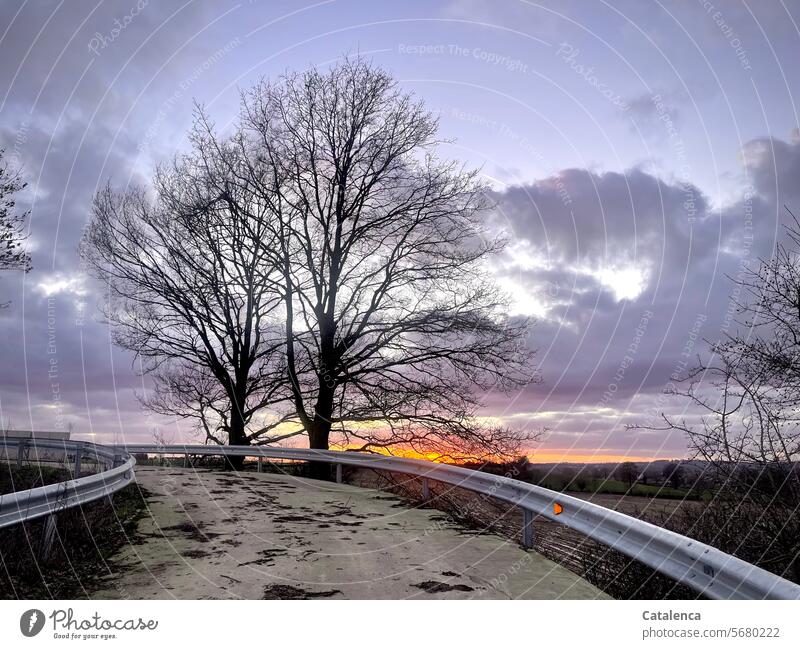 A road over the bridge, bare trees, the sun setting on the horizon Street Horizon Cold Clouds Landscape Sky Environment Day Nature daylight meadows Winter