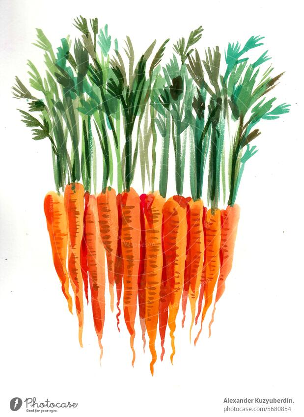 Bunch of carrots. Watercolor painting vegetables food art artwork drawing sketch watercolor