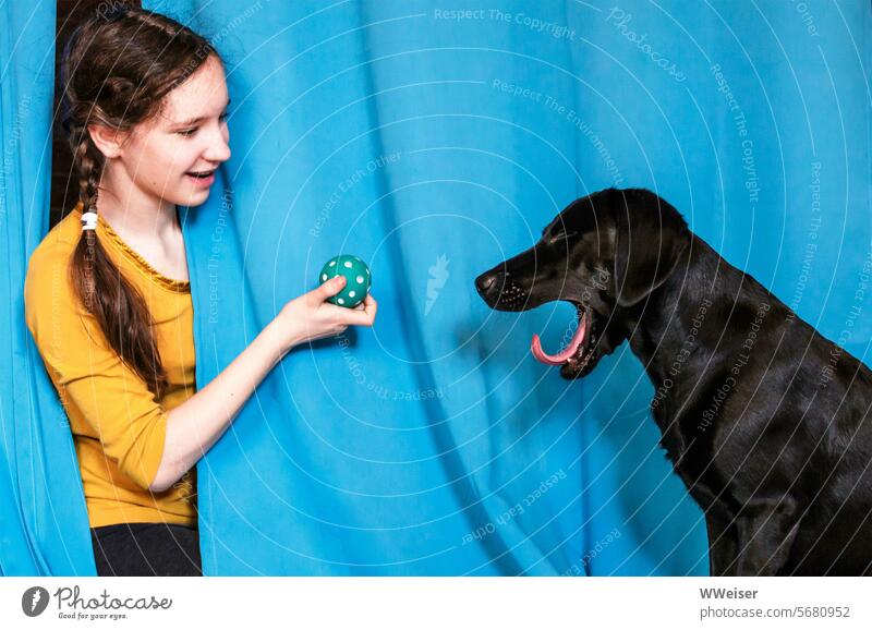 The girl suggests a ball game to the dog, but he is tired Friends Girl Dog Ball Playing Yawn Laughter stimulate lustug Drape at the same time Child Infancy