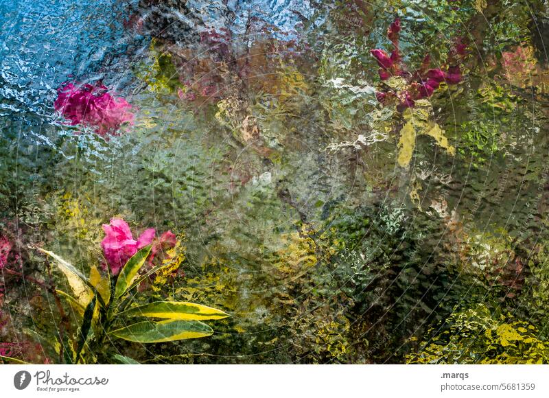 nursery Frosted glass Green Red Moody Mysterious Spring Romance Greenhouse Unclear Blossoming Leaf Colour Summer Pattern Blossom leave Window Multicoloured