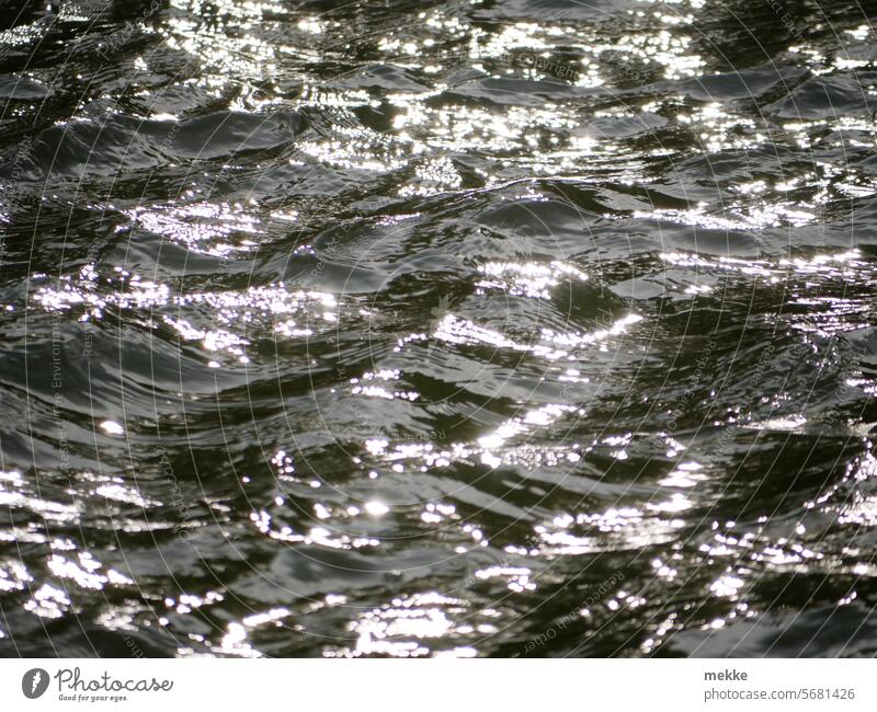 Shiny water Water Lake Waves Ocean Surface of water Reflection Summer Undulating Light Movement Glittering Sunlight Deep Agitated Wind Swell wave mountains