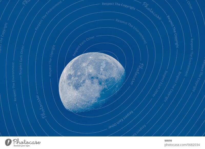 Waning moon in daylight and blue sky Apollo Astronomy astronaut astronomical astrophotography celestial body celestial observation companion copy space