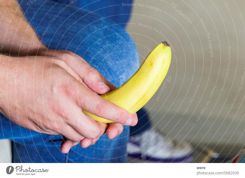 Male hand of Caucasian man holding unpeeled banana between legs caucasian curved eat food fruit healthy male tropical yellow organic