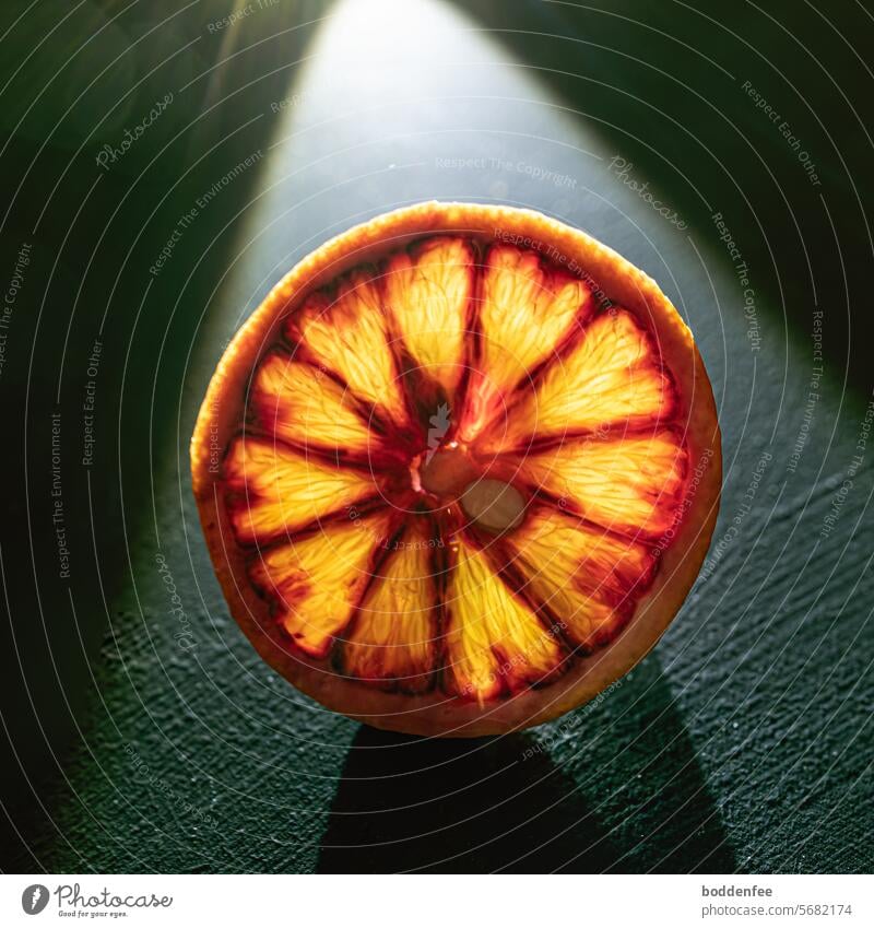 A slice of a blood apple with a cut core in the cone of light of a flashlight on a dark green background fruit Orange Blood oranges Cone of light