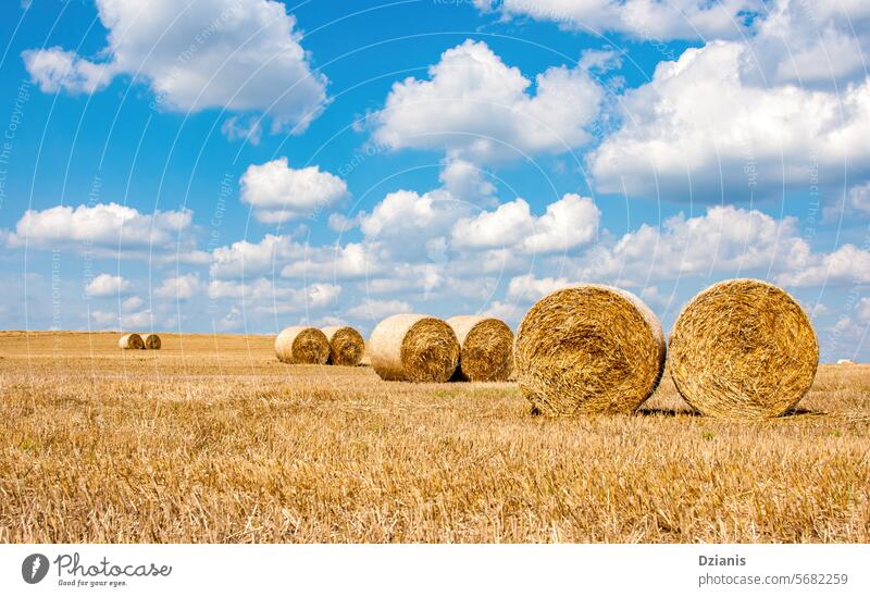 Haystacks in the field. Clouds in the sky on a sunny day Field bale Straw Rolled Stack Package panorama Sunlight Meadow cloud landscape Growth Harvest