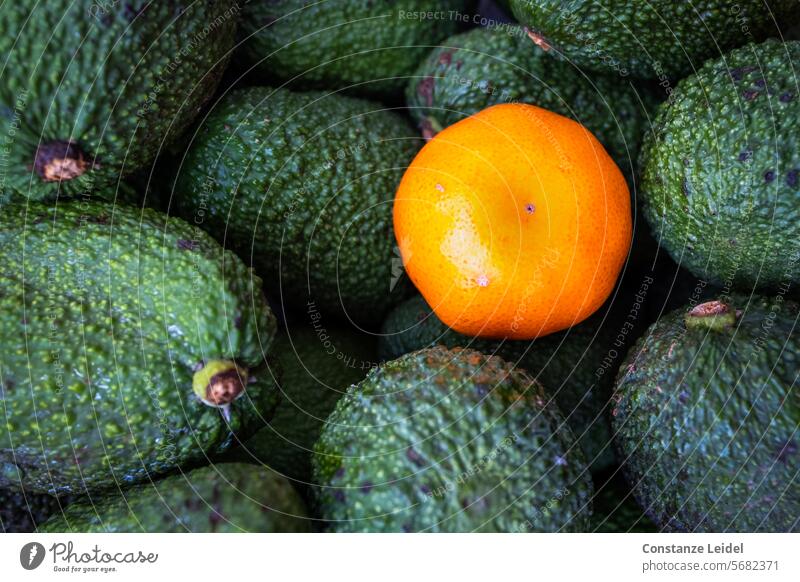 A mandarin in the avocado box Avocado avocados Food Green Orange Tangerine clementine Fruit Healthy Fresh Organic Vitamin Mature Delicious vegetarian Tasty
