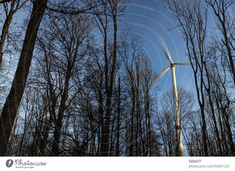 a modern wind turbine spinning behind forest trees wind energy morning wind clean energy wind turbine video morning colors energy video blur tree branches blur