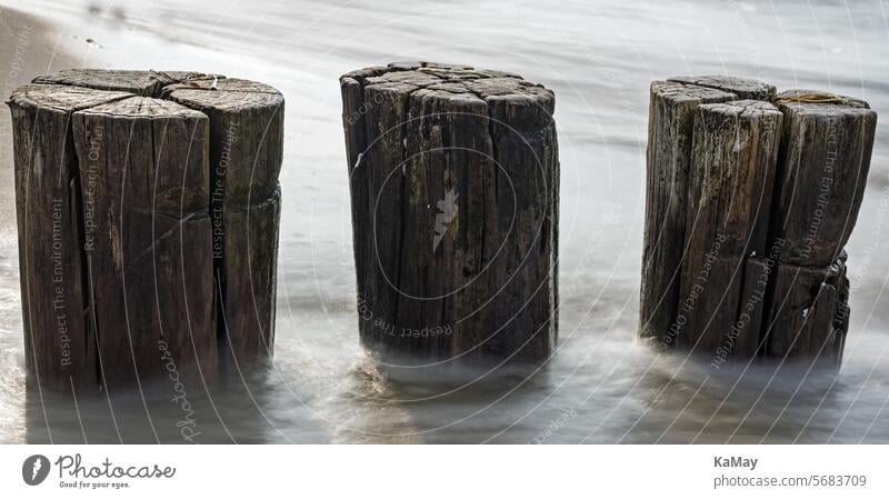 Close-up of three wooden groynes in the Baltic Sea with long exposure stakes Wood Ocean Water Long exposure coastal protection Erosion Manmade structures