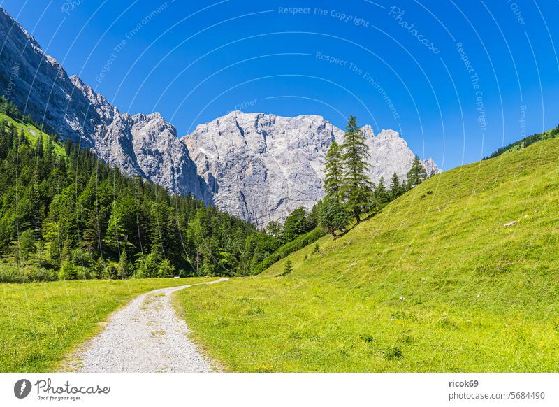 Landscape with hiking trail in the Rißtal valley near the Eng Alm in Austria Riss Valley Narrow Alps mountain Karwendel Tyrol off Narrow valley Nature Peak