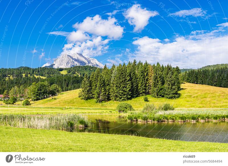 Landscape with lake and Wettergebirge mountains near Mittenwald in Bavaria Alps Schmalensee Nature Lake Krün Weather mountains County Garmisch-Partenkirchen
