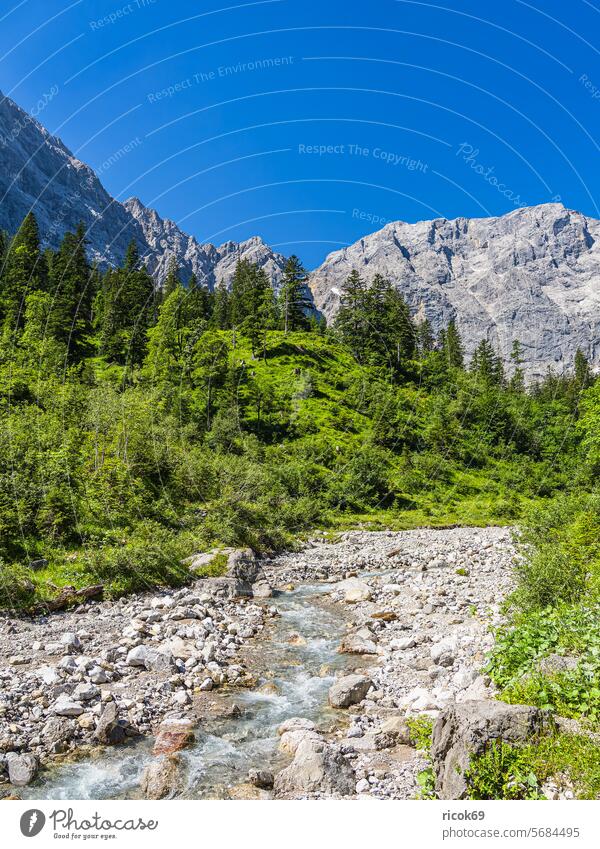 Landscape in the Rißtal valley near the Eng Alm in Austria Riss Valley Narrow Alps mountain Karwendel Tyrol Narrow valley Rissbach Brook Vomp black Nature Peak