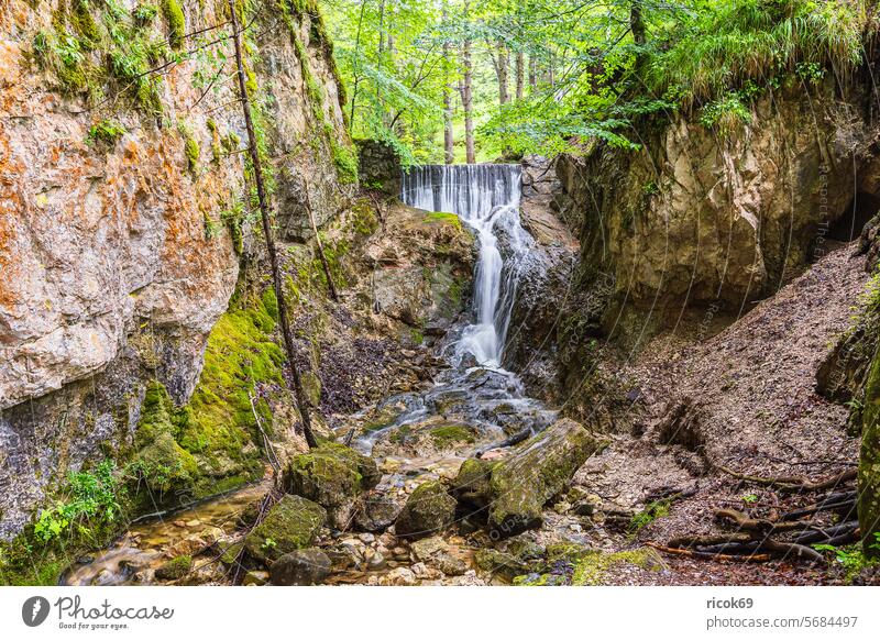View of the Lainbach waterfall near Mittenwalde in Bavaria Laintal Alps mountain Wettersteingebirge Waterfall River Rock Landscape Nature Tree