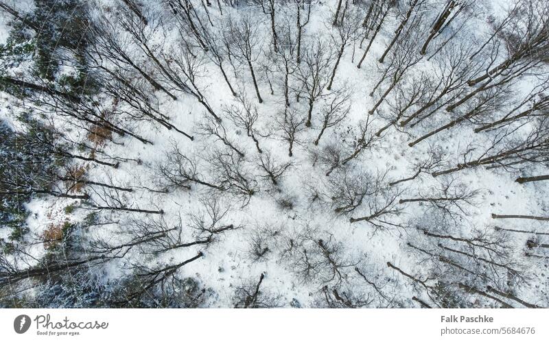 A drone flight on Sunday in the wintry Spessart - Germany Weather Winter Snow from top to bottom Landscape UAV view Snowfall Outdoors forests Above Antenna