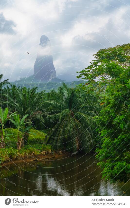 Majestic view of Pico Cão Grande in lush vegetation pico cão grande landscape tropical river reflection moody sky serene towering green nature outdoors scenic