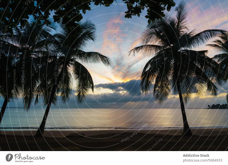 Tropical sunset at Praia Emilia with silhouetted palm trees tropical praia emilia beach serene sky vivid colors framed Sao Tome and Principe peaceful africa