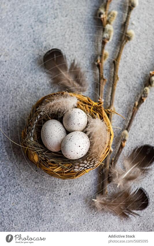 From above of Easter-themed flatlay featuring a nest with speckled eggs, surrounded by soft feathers and pussy willow branches on a textured background spring