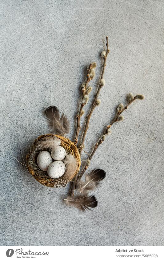 From above of Easter-themed flatlay featuring a nest with speckled eggs, surrounded by soft feathers and pussy willow branches on a textured background spring