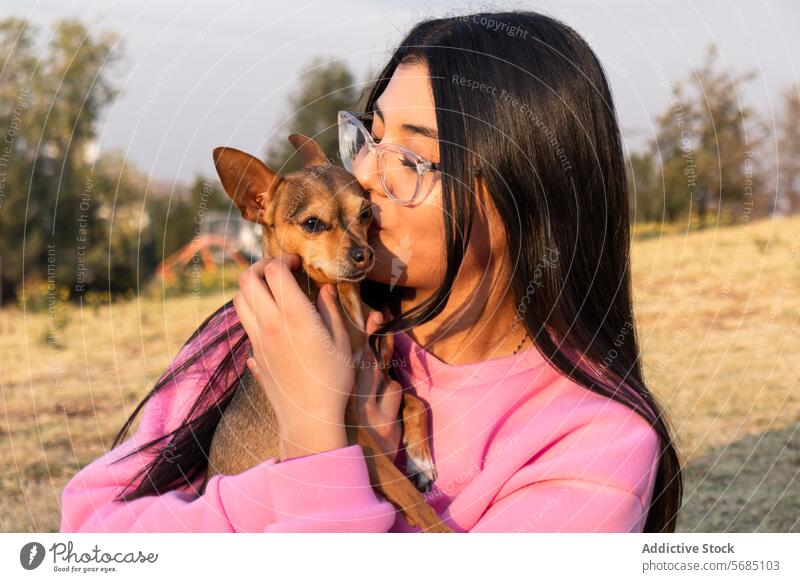 Young woman kissing cute Chihuahua dog hug chihuahua countryside sweater eyeglasses cheerful lady owner autumn young together animal happy pet puppy spend time