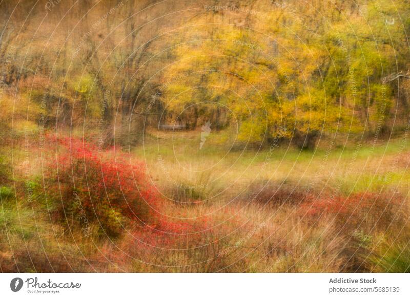 Impressionist autumn scene of fields and oak forest landscape impressionistic dreamy red flora cultivation serene vibrant golden hues cultivated art nature