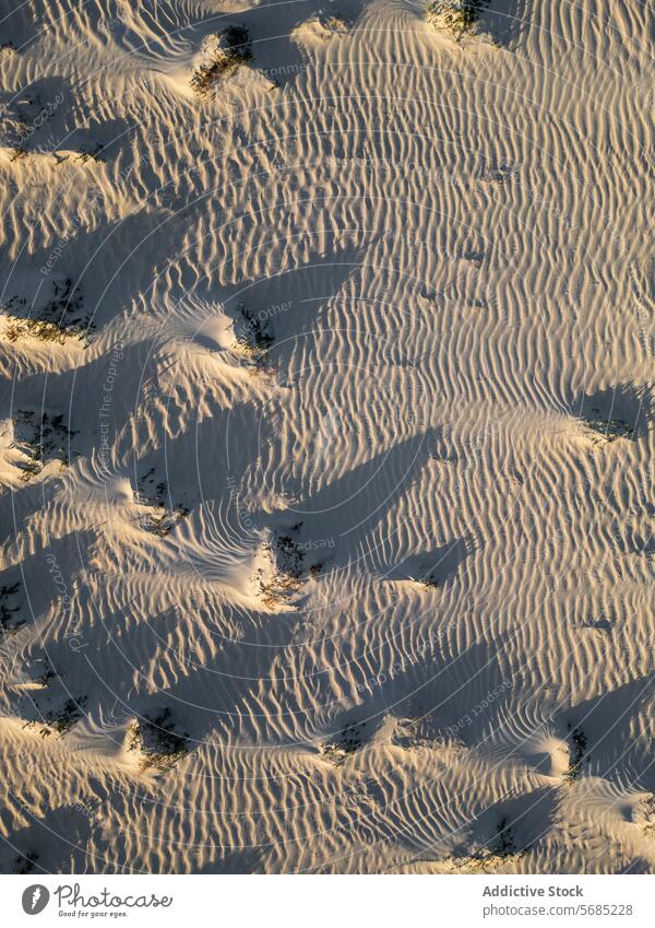 Close up aerial view capturing the textured patterns of the Corralejo Dunes in the soft light of Fuerteventura Aerial close-up sand shadow natural detail