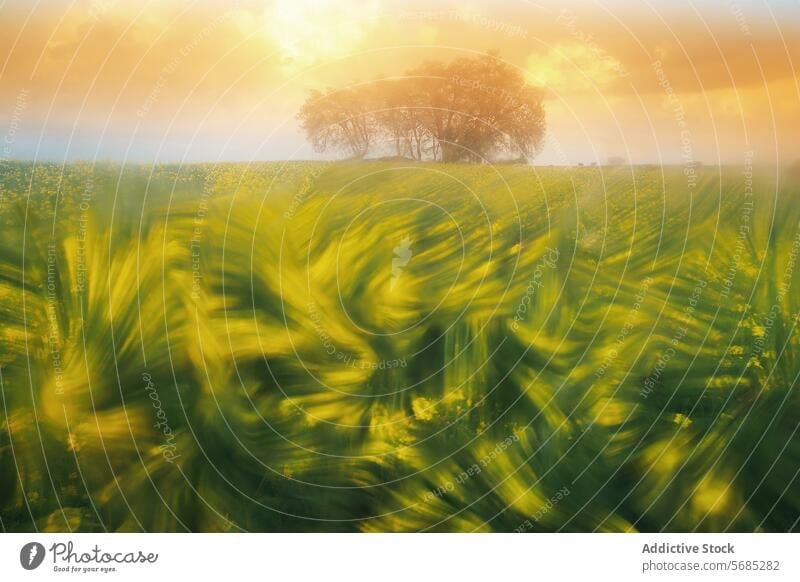 An ethereal landscape showcasing a blur of golden wildflowers against a backdrop of serene trees under a soft, hazy sunrise soft light nature field morning