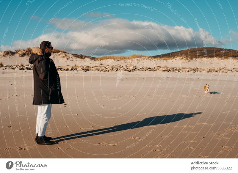 Man in a coat standing on a sandy beach looking at a dog in the distance, with dunes and a blue sky overhead in Lariño, Galicia man outdoor nature companion pet