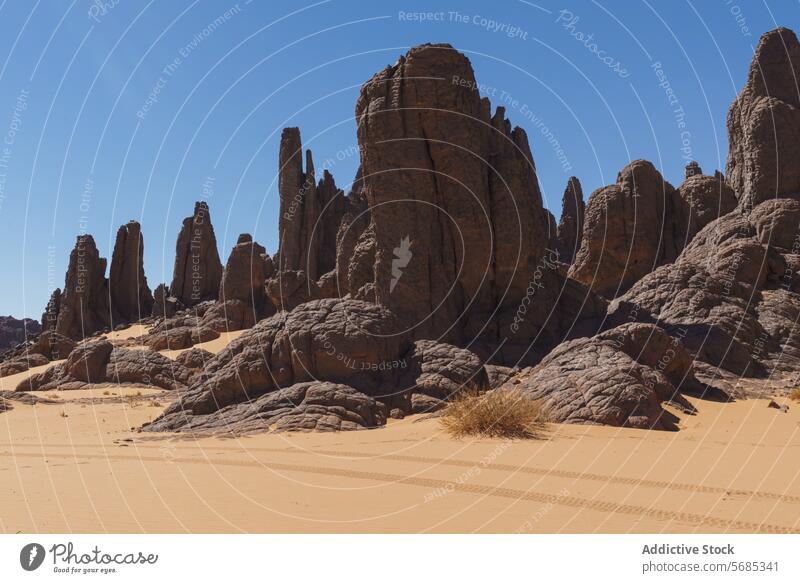 Majestic rock formations at Tassili N'Ajjer desert pinnacle sand golden algeria landscape geology natural wonder stark beauty rugged terrain geological landmark