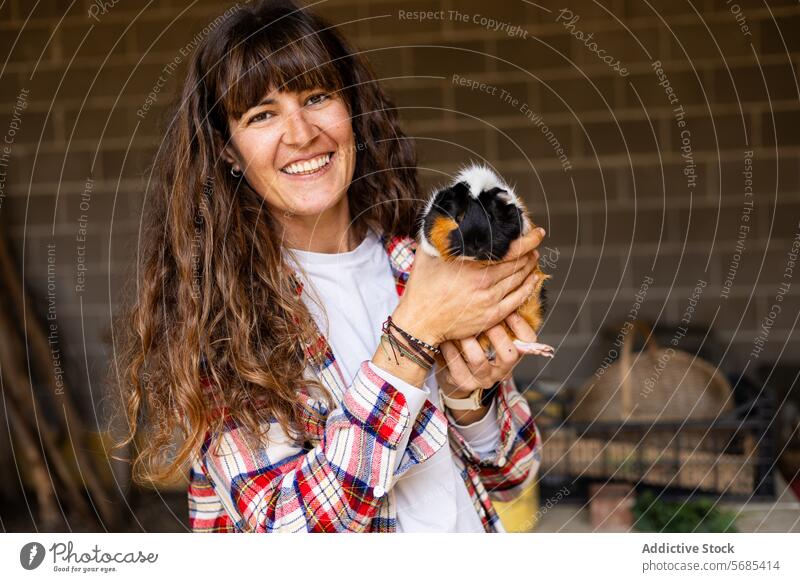 Farmer woman with a guinea pig on a rural farm outdoors adorable adult affectionate animal black brown care carrying caucasian close-up countryside cute day